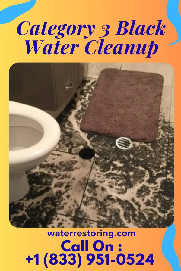 Category 3 Black Water Cleanup in Seat Pleasant, MD