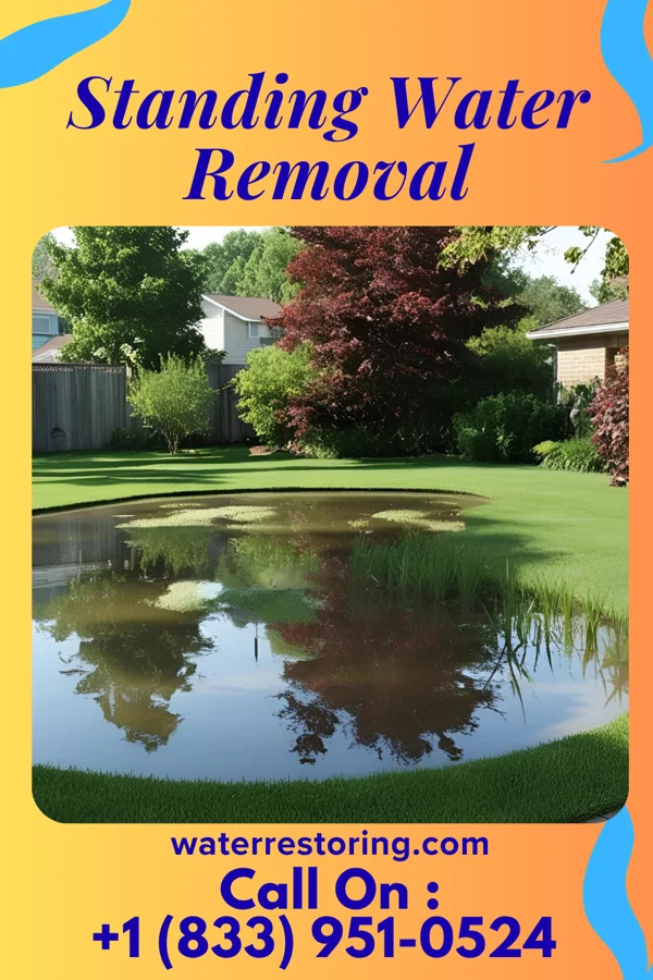 Standing Water Removal in Seat Pleasant, MD